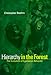 Book Hierarchy in the Forest: The Evolution of Egalitarian Behavior