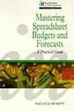 Mastering spreadsheet budgets and forecasts : how to save time and gain control of your business