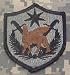 Multinational Force Iraq ACU Patch - Foliage Green