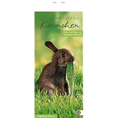 Gl�ckliche Kaninchen, Streifenkalender 2009