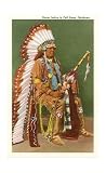 Osage Indian in Full Dress, Oklahoma World Culture Art Poster Print, 13x18