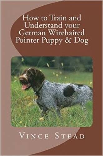 How to Train and Understand your German Wirehaired Pointer Puppy & Dog