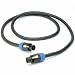 ProCo S12NN-50 12 AWG Speakon Speaker Cable 50 ft.