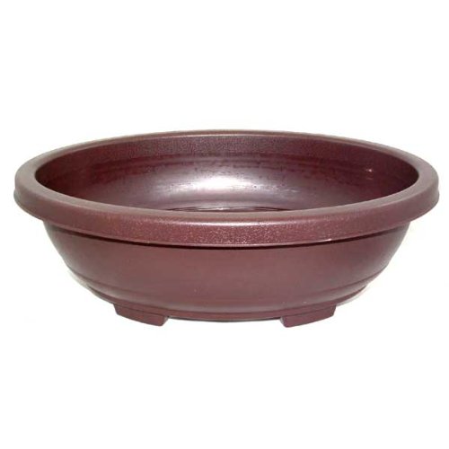 36cm Oval Bonsai Training Pot - Plastic