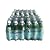 [2CS]サンペレグリノ (500ml×24本)×2箱 [並行輸入品]