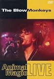 BLOW MONKEYS - ANIMAL MAGIC: BLOW MONKEYS LIVE