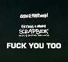 FUCK YOU TOO: The Extras + More - Music and Skating thru > '04 FUCK YOU TOO: The Extras + More - Music and Skating thru > '04