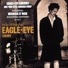 Are You Still Having Fun by  Eagle-Eye Cherry 