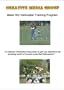 Basic RC Helicopter Training Program