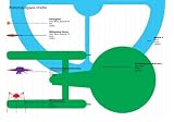 picture of Visual Aid: Stuff You\