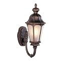 Frosted Glass 1 Light Wall Lantern - Black/Gold