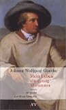 Johann Wolfgang Goethe - Mein Leben ein einzig Abenteuer: Biografie - Klaus Seehafer