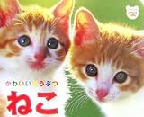 かわいいどうぶつ ねこ (ジュリアンのしゃしんえほん)