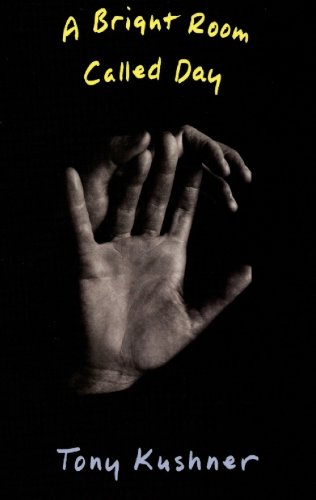 A Bright Room Called Day