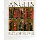 Click here to buy Angels : An Endangered Species by  Malcolm Godwin.