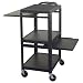Lakeside 316 28 Stainless Steel Utility Cart 41CTE4rHf2L. SL75 Lakeside 316 28 Stainless Steel Utility Cart