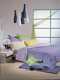 Queen Stripe duvet cover and bonus 2 queen pillow shams