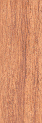 Rosewood Honduras Sample Standard collectors size 1/2'' x 3'' x 6''