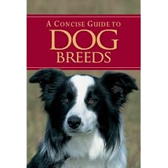 A Concise Guide to Dog Breeds