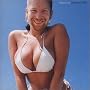 Windowlicker