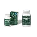Fertility Blend for Men: 2 Month Supply