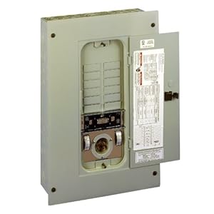 Reliance Controls TRC1005A Panel/Link 12-Circuit 100 Amp Utility/50 Amp Generator Transfer Switch For Up To 12500-Watt Generators