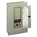 Reliance Controls TRC1005A Panel/Link 12-Circuit 100 Amp Utility/50 Amp Generator Transfer Switch For Up To 12,500-Watt Generators