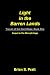 Books : Light in the Barren Lands: Travail of The Dark Mage Book One