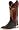 Chocolate Gator/Red Appy