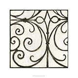 Iron Gate Iii - Poster by Megan Meagher (24 x 24)