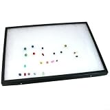 Glass Top Jewelry Coin Gemstone Display Case 12 New