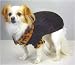 Windsor Dog Sweater with Faux Leopard Trim, Size Large