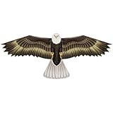 X Kites Birds of Prey Nylon Eagle Kite-48 Inch Wingspan