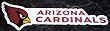 Arizona Cardinals Team Name NFL Car Magnet