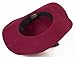 Women Elegant Ribbon Band Solid Color Woolen Foldable Floppy Hat Burgundy