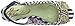 Poetic Licence Women's Mover and Shaker Wedge Sandal
