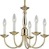 Progress Lighting P4009-10 5-Light Chandelier, Polished Brass