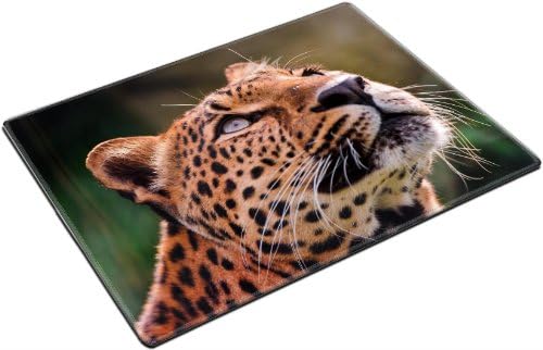 Leopard Juguar Panther Panthera Wildlife Animal Predator Placemat Pads Customized Made To Order Support Ready 15 6/8 Inch (400mm) X 11 13/16 Inch (300mm) X 1/8 Inch (3mm) High Quality Eco Friendly Cloth With Neoprene Rubber Liil Place Mouse Pad Desktop Mousepad Laptop Mousepads Comfortable Table Desk Kitchen Computer Mouse Mat Cute Gaming Mouse_Pad