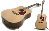 Acoustic Guitar: Solid Top Dreadnought Steel String Acoustic