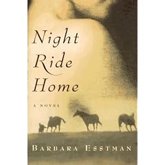 Night Ride Home