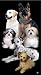 Towel World Dogs Beach Towel