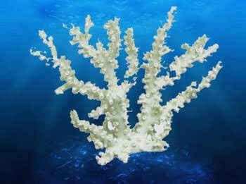 Synthetic Coral Deep Blue Professional Replica Black Octopus 12x4x10inches