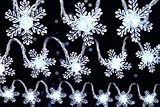 Premier Chasing Led Snowflake Lights - White, 70