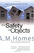 Safety of Objects