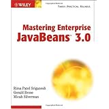 Mastering Enterprise JavaBeans 3.0