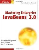 Mastering Enterprise JavaBeans 3.0