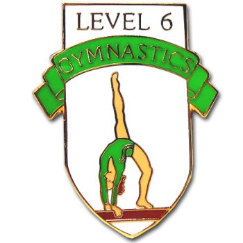 Buy Ladies Level 6 Gymnastics Pin.