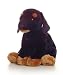   - Aurora Plush Remy the 12-Inch Rottweiler