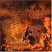 Musik : The Serpent Within Paradise