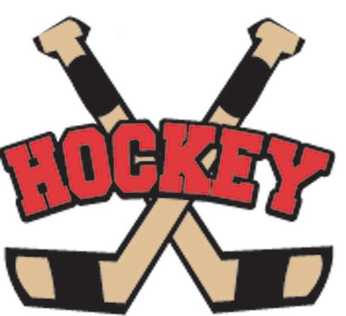 Childrens Toyshop  Sporting Goods : Hockey Funtoos Each Sheet